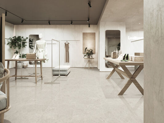 Light Gray Inside Floor Antibacterial 600x1200mm Matt with Mould Surface Porcelain Tiles For Bathroom and Renovation